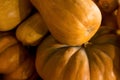 many orange pumpkins of different shapes long flat autumn texture and background