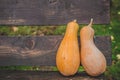 Many orange pumpkins on wooden background with copy space, autumn harvest, Halloween or Thanksgiving concept Royalty Free Stock Photo