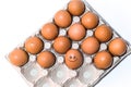 Many orange spotted brown chicken eggs in carton open box container on white background. View from the top. One egg Royalty Free Stock Photo