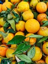 Oranges For Sale at Greek Street market