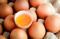 Many organic eggs are placed in the paper tray and there are egg yolks in the middle.