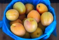 Many organic peaches fruit basket at the market Royalty Free Stock Photo