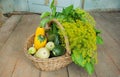 Many organic vegatables, zucchini and greens on floor gardener home, during autumn harvesting time