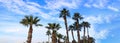 Many palm trees under Cyprus blue sky with few fluffy clouds Royalty Free Stock Photo