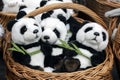 Many panda soft toys in a wicker basket.