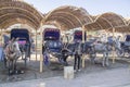 Many parked horse carriages waiting for passengers on shadow in Egypt