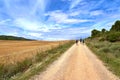 A small group of pilgrims walking the Camino de Stiago in Spain, immersed in a peaceful countryside, surrounded by meadow fields