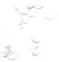 Many Pastel Feather fly fall in Air over white background isolated. Puffy Fluffy soft feathers as purity smooth like dream