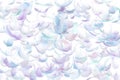 Many Pastel Feather fly fall in Air over white background isolated. Puffy Fluffy soft feathers as purity smooth like dream Royalty Free Stock Photo