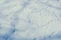 Many paths from the tracks of birds in the snow Royalty Free Stock Photo