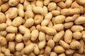 Many peanuts in shells background. Food texture Royalty Free Stock Photo