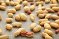 Many peanuts in shells on grey background. Food texture Royalty Free Stock Photo