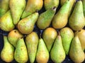 Many Pears together close up.