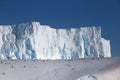 Many of penguin on drifting iceberg. Jumping, sitting, swimming on ice background. Antarctica ice view. Royalty Free Stock Photo