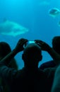 Many people observe the fish in the oceanarium.