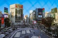 many people walking crossing road in shibuya street Nov 29 2023