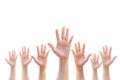 Many people women hands isolated on white background raising up showing vote, volunteer participation, rights equality concept