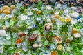 Many of the pieces of glass, shells and rocks moulded by the sea. The texture of colored stone beach