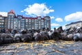 Many pigeons feeding on cobblestone square of Vyborg city, Russia. Low angle view, sunny summer day