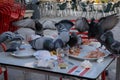 Many pigeons tearing at leftover food and drinks in a Spanish tapas bar