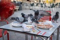 Many pigeons tearing at leftover food and drinks in a Spanish tapas bar