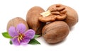 Heap of pecan nuts. Royalty Free Stock Photo