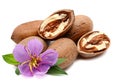 Heap of pecan nuts. Royalty Free Stock Photo