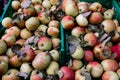 Many piles of apple in the boxes located in the market, the fresh apples