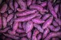 Many piles of purple sweet potato.