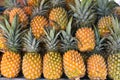 Many pineapples for sale in the market