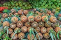 Many pineapples and water melons on the ground in food market in Zanzibar, Tanzania Royalty Free Stock Photo