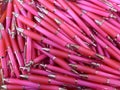 Many pink ballpoint Royalty Free Stock Photo