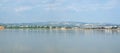 Many pink flamingos feeding in the Salt Lake in Larnaca, Cyprus Royalty Free Stock Photo