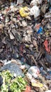 Many of plactic garbages cause pollution