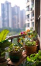 Many plants and flowers on the balcony of an urban city house, Balcony gardening concept