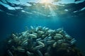 Many plastic bottles accumulated at the bottom of the sea