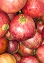 Many Pomegranates Fruit background shot-part of the fruit