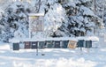 Many post boxes covered with snow in a row Royalty Free Stock Photo