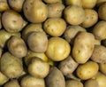Many potatoes are keep at a same place Royalty Free Stock Photo
