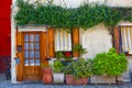 Many pots with plants near the door of the house, Burano