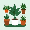 Many potted plant on a simple background