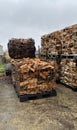 Many Prepared container firewood storage outside package store Royalty Free Stock Photo