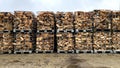 Many Prepared container firewood storage outside package store Royalty Free Stock Photo