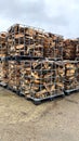 Many Prepared container firewood storage outside package store Royalty Free Stock Photo