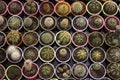 Many prickly and green cacti of different types in plastic pots are sold in the store. Background. View from above