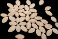 Many pumpkin seeds on dark background