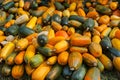 Many pumpkins, autumn harvest, background Royalty Free Stock Photo