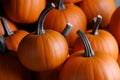 Many pumpkins background Royalty Free Stock Photo