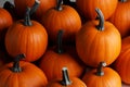 Many pumpkins background Royalty Free Stock Photo