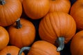 Many pumpkins background Royalty Free Stock Photo